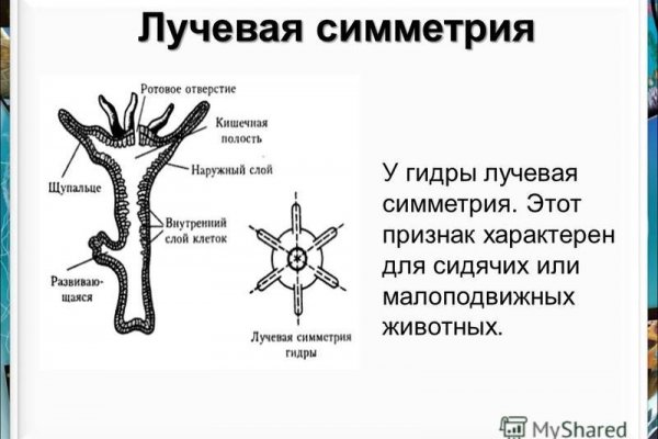 Кракен наркошоп ссылка