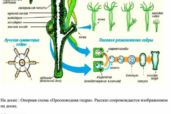 Кракен 2kraken biz